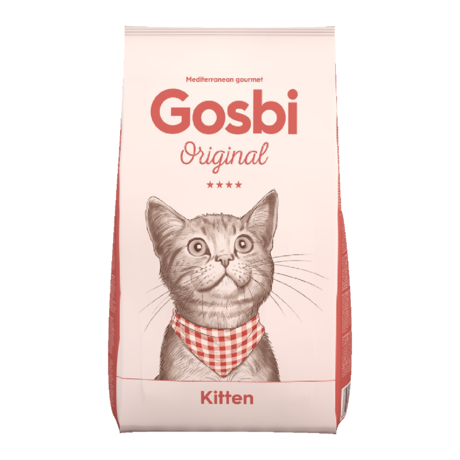 Original Cat Kitten